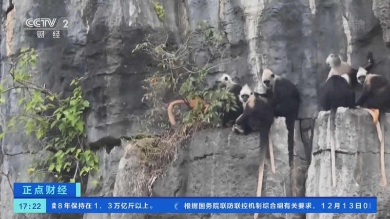 正点财经 《正点财经》 20221212 17:00
