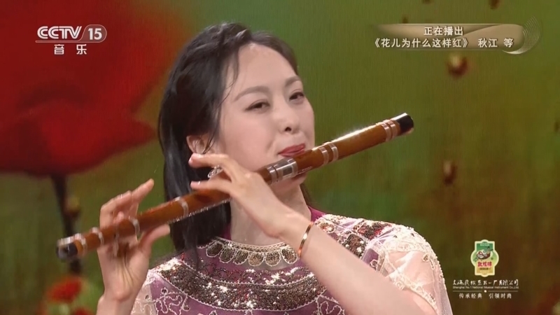 风华国乐 《风华国乐》 20250412