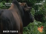 远方的家 《远方的家》 20150117 北纬30°·中国行（30） 宜春：多样的精彩