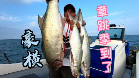 舟山职业钓手阿杰，开200000一艘的快艇海钓，一天到底能钓多少鱼