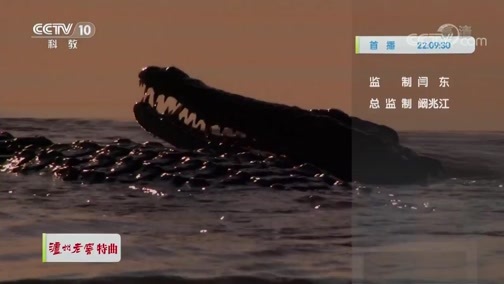 自然传奇 《自然传奇》 20200625 卡图马河的盛宴