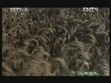 人与自然 《人与自然》 20121017 自然启示—奇观异事