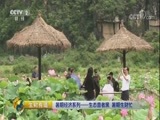 生财有道 《生财有道》 20170828 暑期经济系列——生态普者黑 暑期生财忙