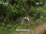 地理中国 《地理中国》 20161130 神秘红泉（下）