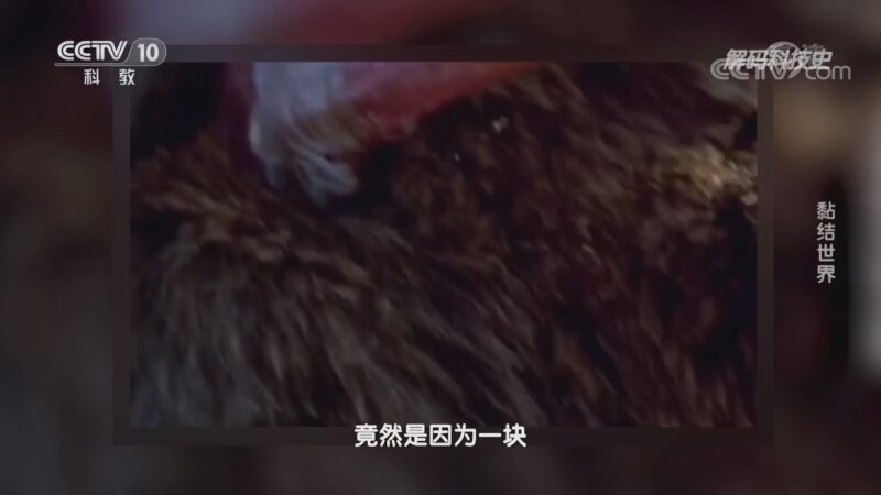 解码科技史 《解码科技史》 20201107 黏结世界
