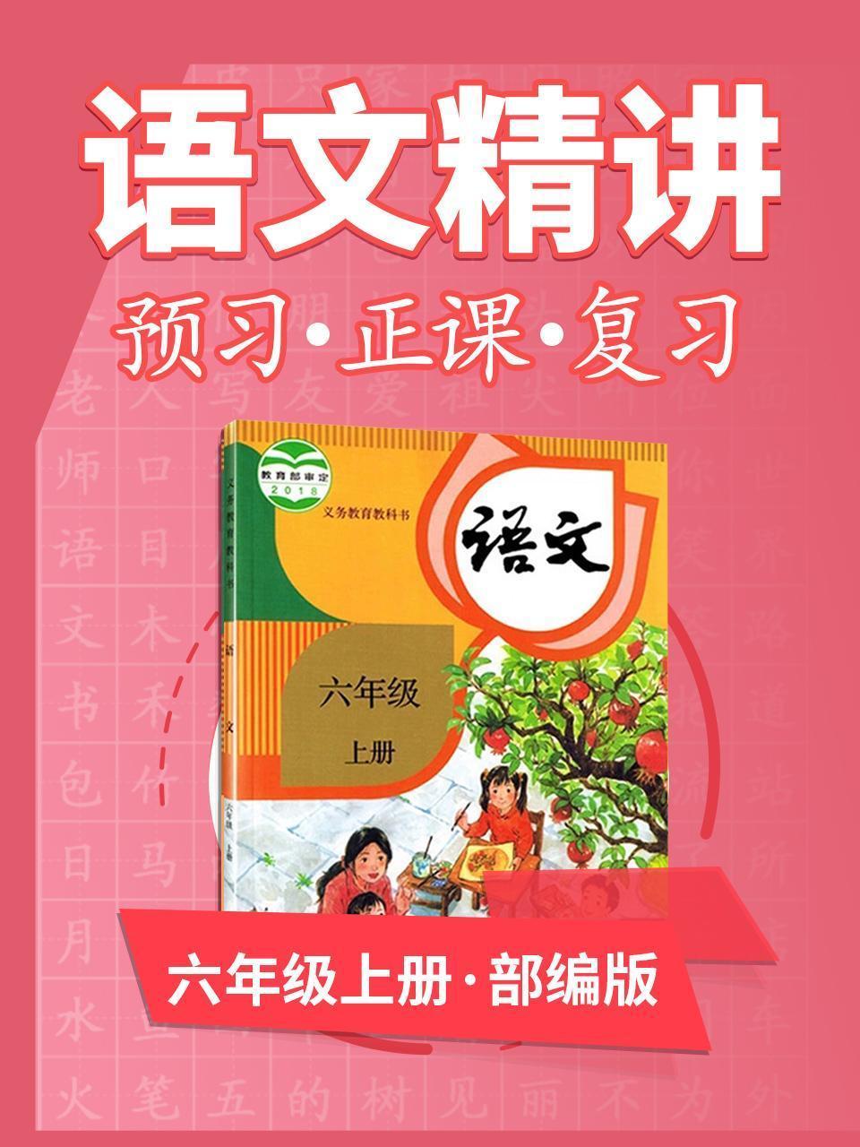 部编版语文 六年级上册 语文精讲