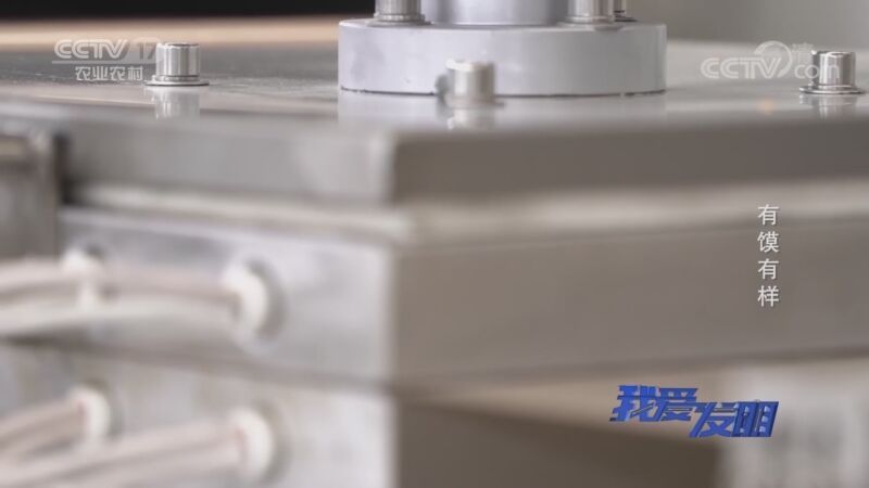 我爱发明 《我爱发明》 20200922 有“馍”有样