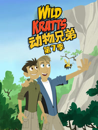 动物兄弟 第7季 英文版