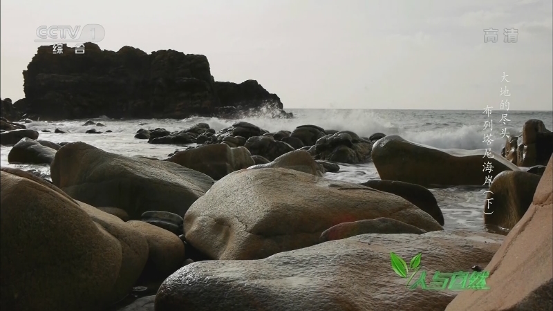 人与自然 《人与自然》 20201223 大地的尽头——布列塔尼海岸（下）