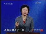 百家讲坛 慈禧陵寝被盗之谜