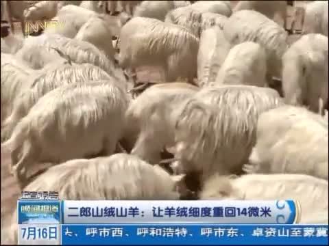 晚间报道 《晚间报道-内蒙古》 20140716