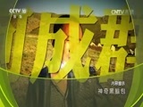 地理中国 《地理中国》 20161128 神奇黑脑包