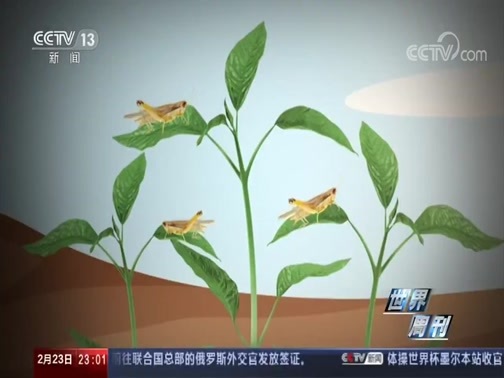 世界周刊 《世界周刊》 20200223