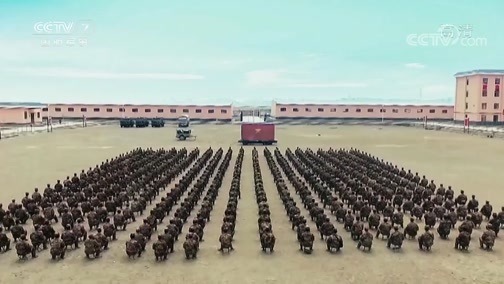 老兵，你好 《老兵你好》 20200208 我为战友架鹊桥——“红娘”老兵邓达