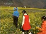 芝麻开门【央视】 壮乡密码 锦绣鹅泉