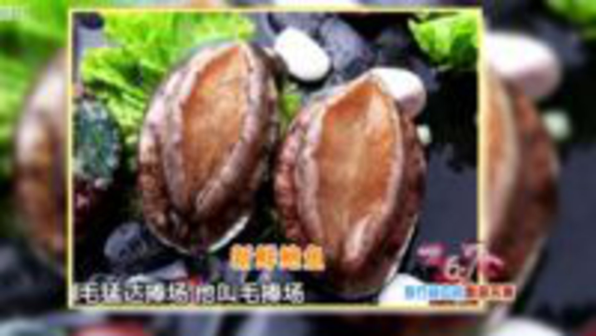 36.7℃明星听诊会 15111936.7℃明星听诊会_001
