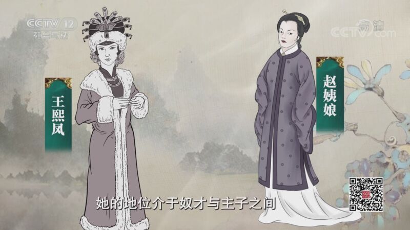 法律讲堂 《法律讲堂（文史版）》 20200826 《红楼梦》中的法文化·赵姨娘的报复（上）