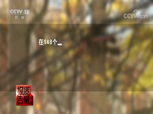 每周质量报告 《每周质量报告》 20191117 住宅小区物业服务调查