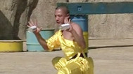 谁与争锋 第二季 神秘定鸡术击败现代科学