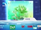 大王小王 《大王小王》 20150406 1米49的父亲如此伟岸