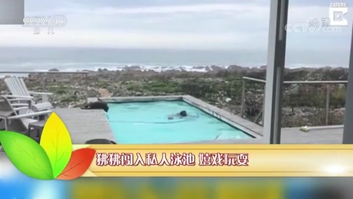 新闻袋袋裤 《新闻袋袋裤》 20190523