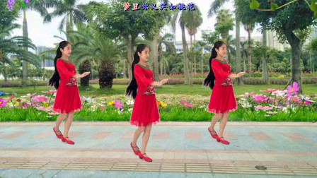 动感时尚广场舞 广场舞《何时了却这牵挂》悦耳动听抒情舞步更好学