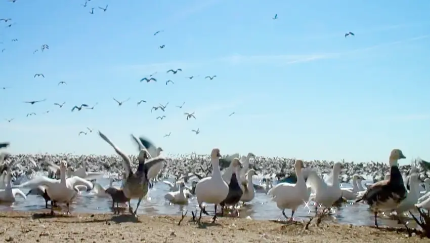 《鸟瞰地球》第1集