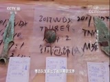 探索发现 《探索发现》 20180110 《2018考古探奇》 第一季 探秘句町古国（上）