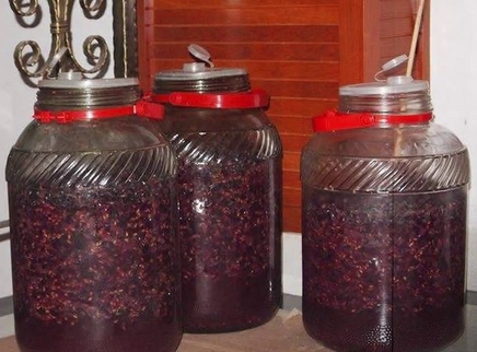 新闻大求真 自酿葡萄酒为什么会有甲醇？