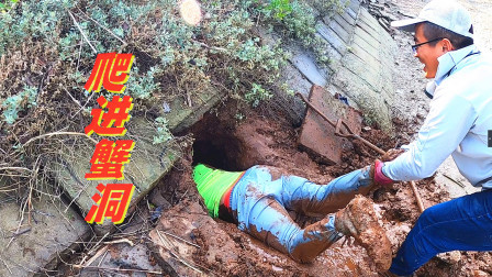 思乡渔夫 成精的老蟹王洞有多大？小伙直接爬进洞里抓它，一般人不敢下手
