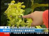 新闻30分 新闻30分 2010-05-22