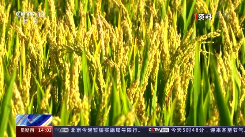 新闻直播间 《新闻直播间》 20221222 14:00