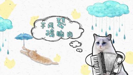 宠爱厨房 第一季 高冷双蓝布偶猫烹饪手风琴鸡胸肉
