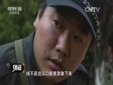 见证 《见证》 20150823 警犬出击 第四集 忠诚卫士