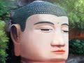 米卡成长天地（3-4岁） 安全小卫士-外出旅行的安全
