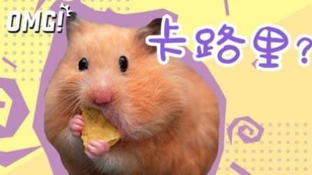 葡萄酒居然跟汉堡热量一样高