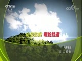 地理中国 《地理中国》 20180314 山中奇物