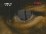 军事纪实 《军事纪实》 20120228 揭秘高原极限训练