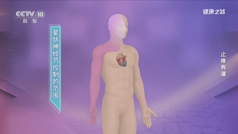 健康之路 《健康之路》 20231221 止疼有道