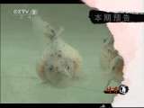 生财有道 老曹的“美”差事