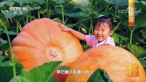 中国影像方志 《中国影像方志》 第268集 河北阳原篇