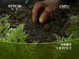 地理中国 《地理中国》 20150609 飞来的坝子