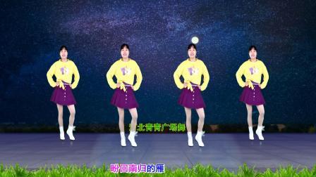 新潮DJ健身舞《夜夜夜漫长》动感32步