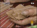 地球密码（周末精编节目） 周末精编节目 2010年 第247期