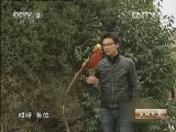 生财有道 [生财有道]美丽女孩的锦绣财富(20121123)