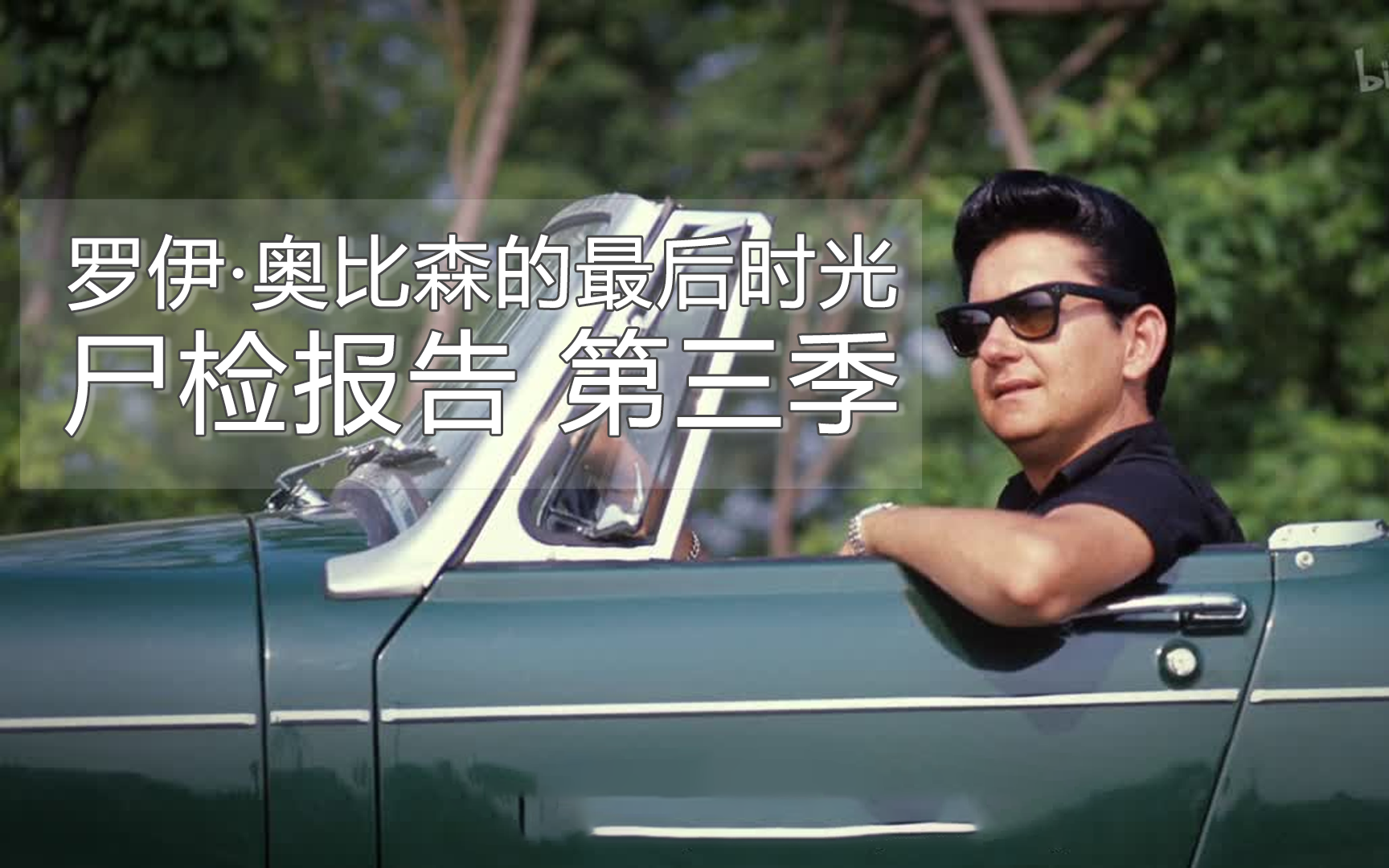 罗伊·奥比森的最后时光