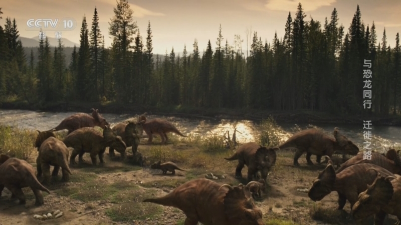 《与恐龙同行》 第5集 迁徙之路