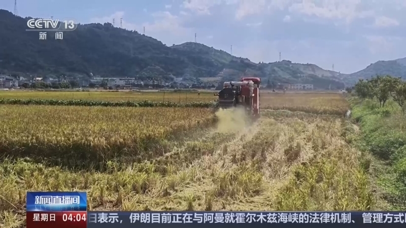 新闻直播间 《新闻直播间》 20260809 04:00