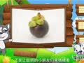 看图识物 石榴 山竹 桑葚