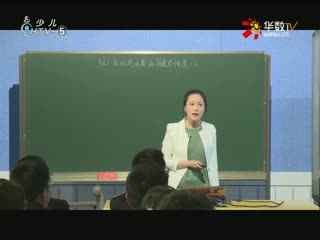 名师公开课 《6.2反比例函数的图象和性质》授课教师：陈少芝